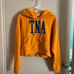 Aritzia TNA hoodie